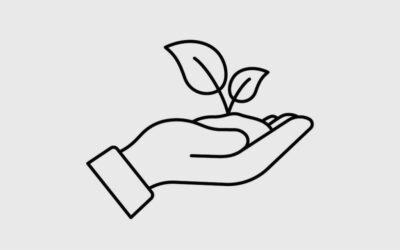 Quality focus has delivered on growth and income